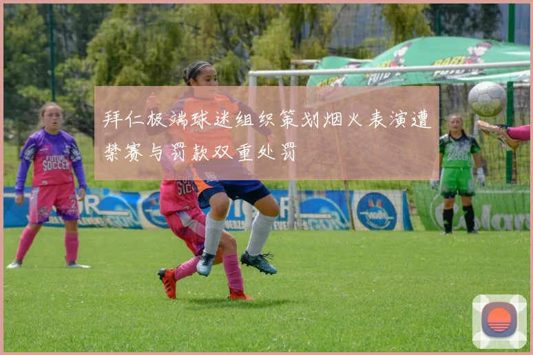 拜仁极端球迷组织策划烟火表演遭禁赛与罚款双重处罚