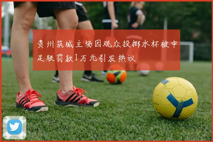 贵州筑城主场因观众投掷水杯被中足联罚款1万元引发热议
