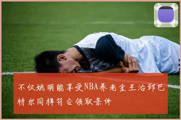 不仅姚明能享受NBA养老金王治郅巴特尔同样符合领取条件