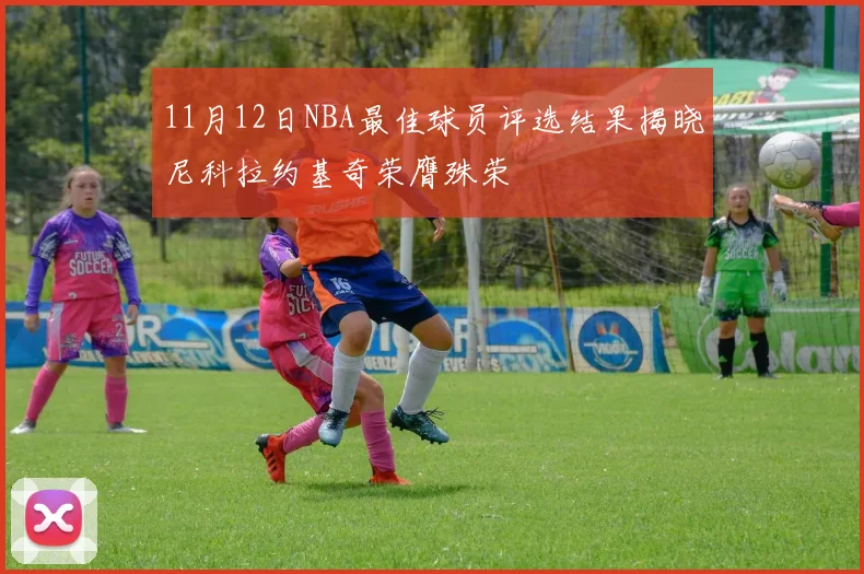 11月12日NBA最佳球员评选结果揭晓尼科拉约基奇荣膺殊荣