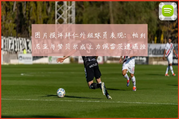 图片报评拜仁外租球员表现：帕利尼亚与努贝尔成主力佩雷茨遭遇挫折
