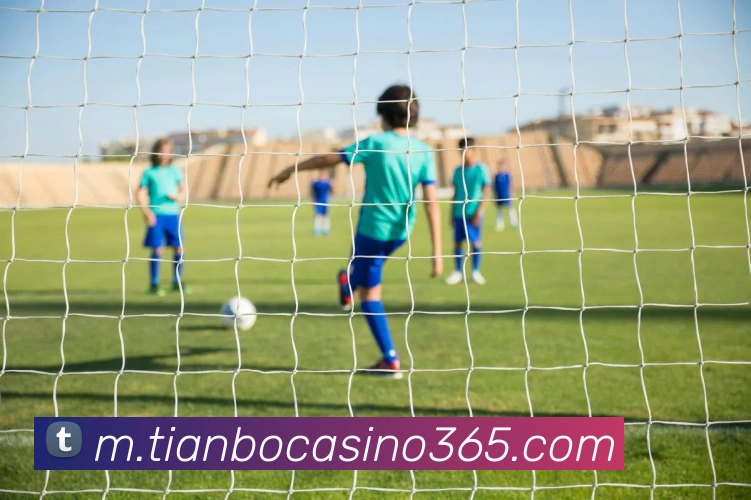 天博真人娱乐发展历程